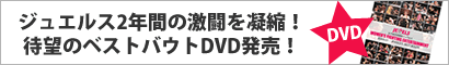 待望のベストバウトDVD発売!